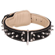 Padded Dog Collar for Bulldog, Leather, Nappa and Nickel Spikes