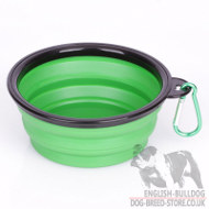 English Bulldog Dog Bowl for Food and Water, Collapsible Design, Small