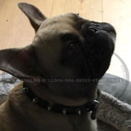 French Bulldog Leather Collar with Spikes for Walking in Style