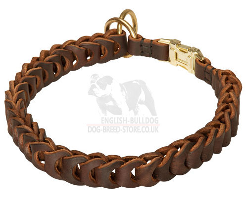 Leather Choke Collar Braided for English Bulldog, Dog Choker