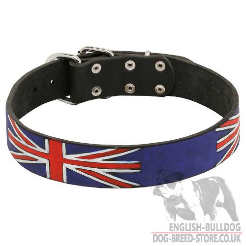 Designer Dog Collar with Union Jack Painting for British Bulldog