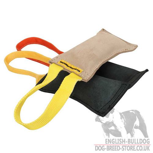 Bite Tug of Leather for Bulldog Puppies and Young Dogs
