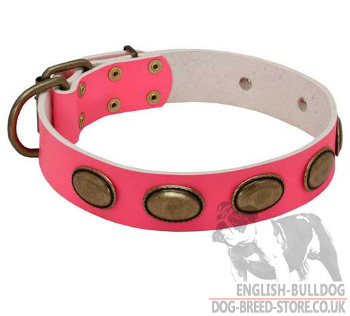Girl Dog Collar Pink Leather | Dog Collar for Female Bulldogs Girl Dog Collar Pink Leather | Dog Collar for Female Bulldogs