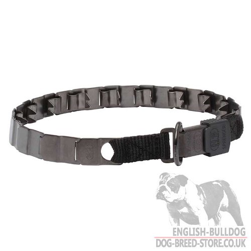 Make Your Bulldog Obedient with New Black Neck Tech Prong Collar