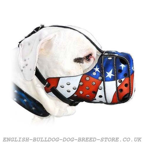 American Bulldog Muzzle with American Flag Hand Painting