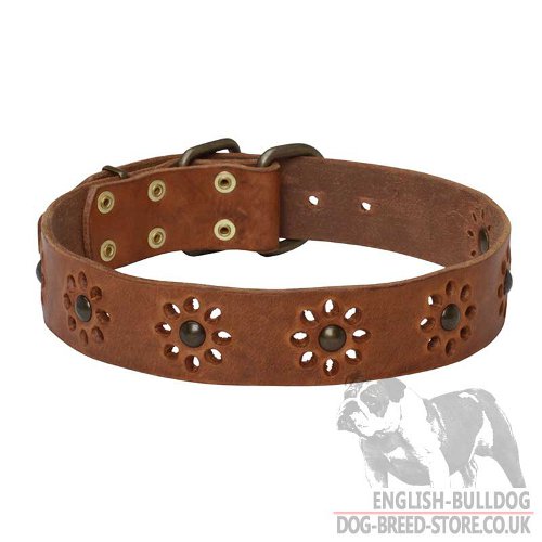 Let It Spring with Leather Flower Dog Collar for English Bulldog