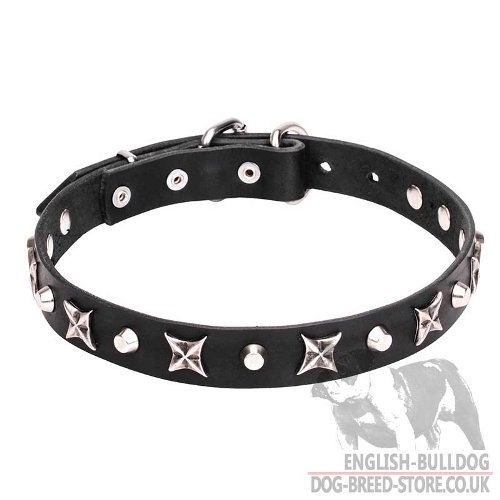 English Bulldog Collar Leather with Silvery Stars and Pyramids