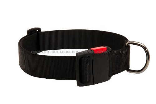 Adjustable Nylon Dog Collar with Quick Release Plastic Buckle