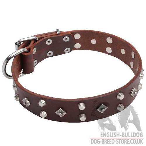 Dog Collar High Fashion with Stars and Cones for English Bulldog