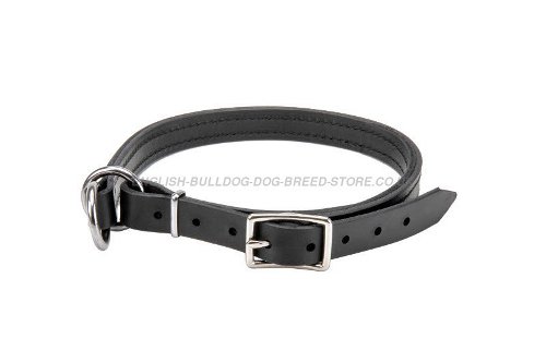 Double Leather Choke Collar for Bulldog Control and Obedience
