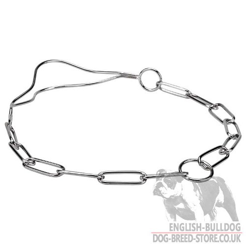 Dog Show Collar and Fur Saver with Chrome Plating for Bulldogs