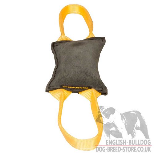 Leather Bite Tug with Two Nylon Handles for Young Bulldogs