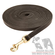 Long Dog Leash for Bulldog Lead Training and Tracking, 10 mm