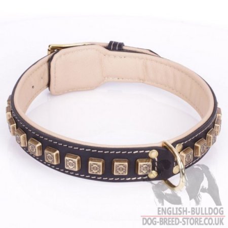 English Bulldog Leather Collar "Cube" with Nappa and Brass Details