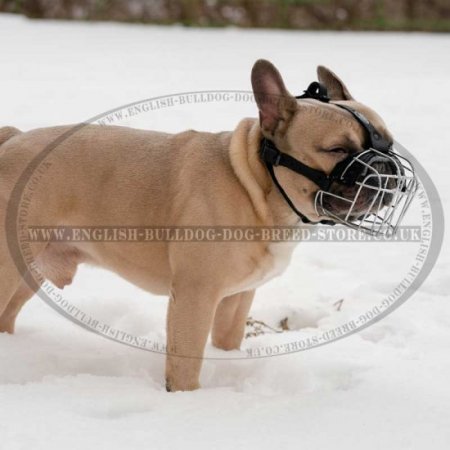 Bestseller! Wire Dog Muzzle for French Bulldog, Perfect for Daily Use