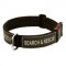 Nylon Dog Collar with Buckle & Patches for Bulldog Training