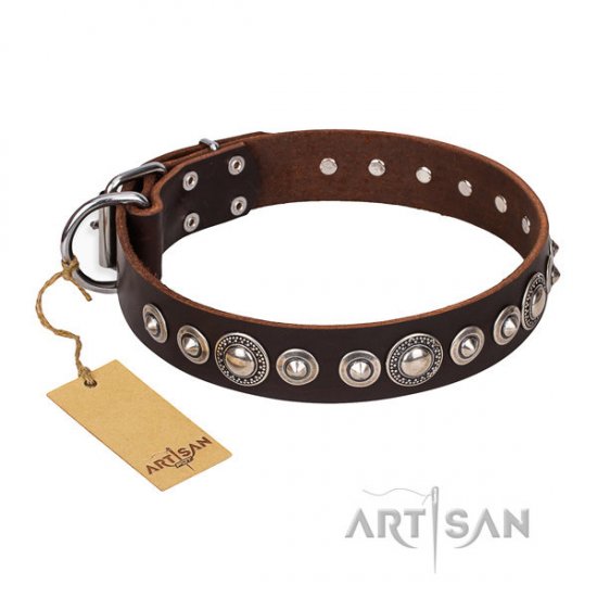 English Bulldog Collar "Step and Sparkle" by FDT Artisan, Brown
