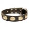 Retro Dog Collar for English Bulldog with Oval Brass Plates