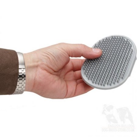 Bestseller! Dog Grooming Brush of Rubber for Bulldog Coat Care, Massage