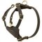 Bestseller! Boston Terrier Harness of Leather, Suitable Even for Puppies