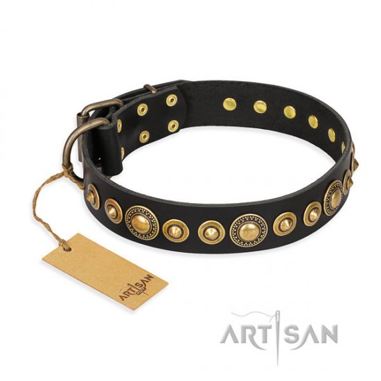 English Bulldog Collar "Gold Mine" FDT Artisan in Black Leather