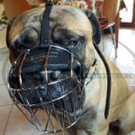 Bullmastiff Muzzle of Wire with Good Ventilation Perfect for Daily Use