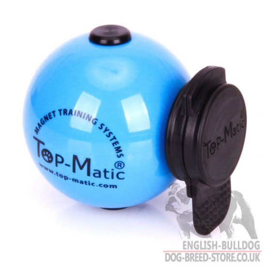 Top-Matic Magnet Trainingsball