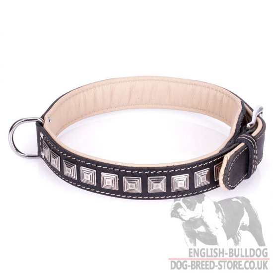 Dog Collar for English Bulldog