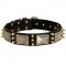 Bulldog Collar with Brass Spikes and Silver Coloured Plates