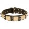 Bulldog Leather Collar with Silver-Like Spikes and Brass Plates