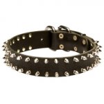 Leather Dog Collar with Two Rows of Spikes for English Bulldog