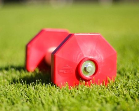 Dog Training Dumbbell with Red Weight Plates, 1.4 lbs