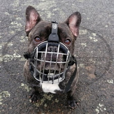 Bestseller! Wire Dog Muzzle for French Bulldog, Perfect for Daily Use