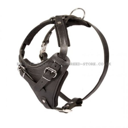 Black Leather Bulldog Harness for Training