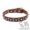 English Bulldog Collar Wide Leather with Brass Stars and Spikes