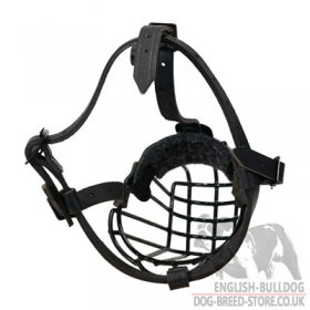 American Bulldog Basket Muzzle with Rust-Proof Polymer Coating