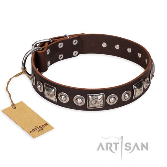 English Bulldog Collar Artisan "Pierian Spring", Brown Leather