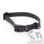 Biothane Quick-Release Collar for Young Bulldog