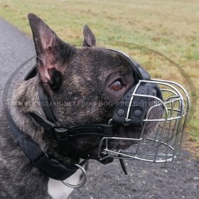 Bestseller! Wire Dog Muzzle for French Bulldog, Perfect for Daily Use