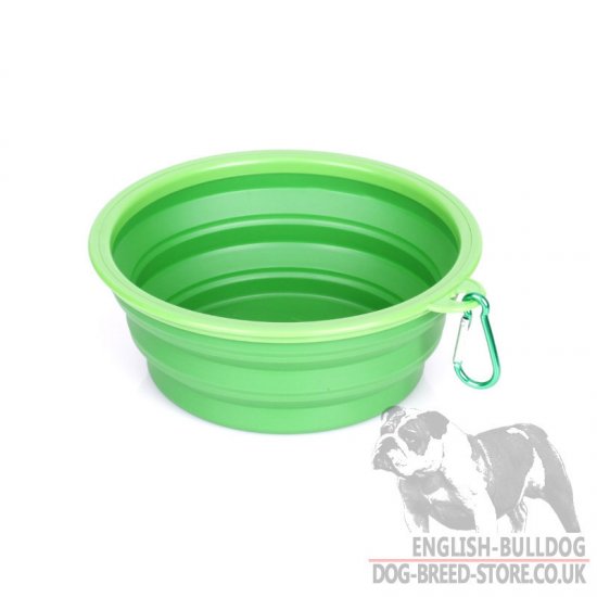 Dog Bowl for Bulldog