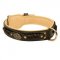 Bestseller! Royal Dog Collar Nappa Padded, Luxury Design for English Bulldog