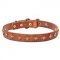 "Golden Star" Slap-Up Narrow Dog Collar for English Bulldog