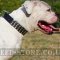 American Bulldog Collar with 3 Rows of Pyramid Studs, Leather