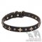 "Galaxy" English Bulldog Leather Dog Collar Bronze-Like Stars
