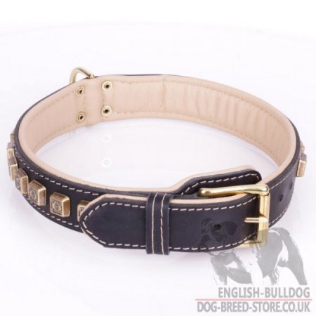 English Bulldog Leather Collar "Cube" with Nappa and Brass Details