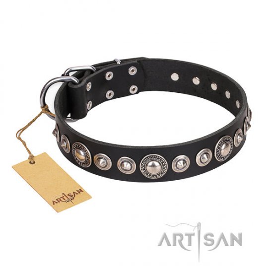 English Bulldog Collar FDT Artisan "Strict Elegance" with Studs