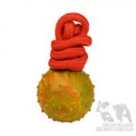Dog Toy Ball with String for English Bulldog Training Activities