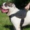 American Bulldog Harness of Strong Nylon, Multipurpose Use