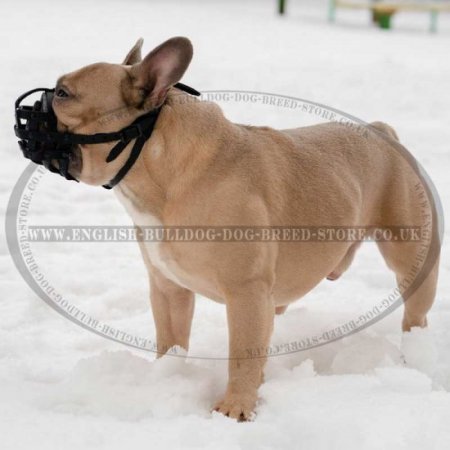 Bestseller! Leather Dog Muzzle Soft Felt Padded for French Bulldog