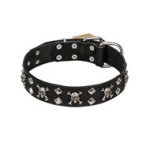 English Bulldog Collar "Fancy Rock-n-Roll Style" FDT Artisan